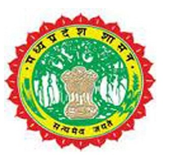 MP NMMS Answer Key